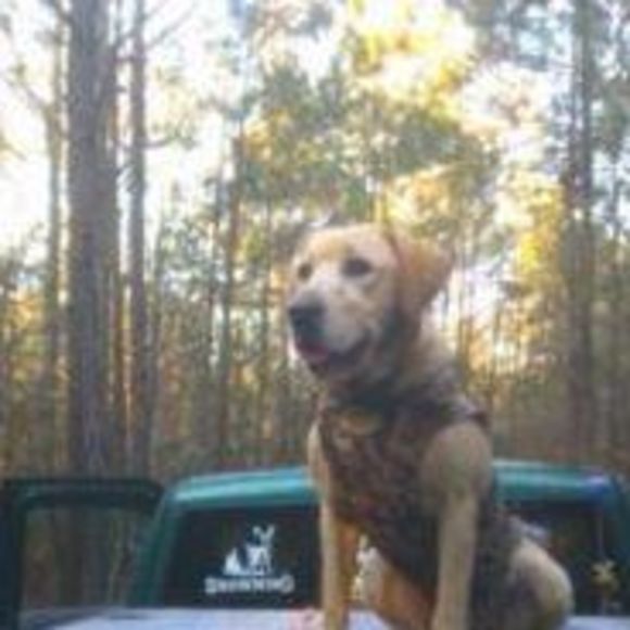 Meet your Posher, Wayland - Picture 1 of 1